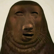 海狗