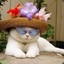 MissKay
