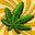 GOD WEED