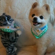 此去经年两相忘