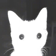 dokoktor avatar