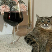 ✪{МоloDoy}>16.99n/3.91✪