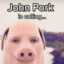 John Pork