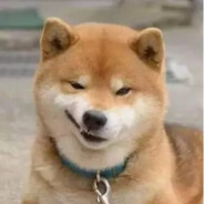 仲夏的菠萝冰沙