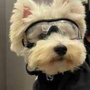 你携秋水揽星河