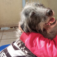 爱咬吸管的少女✨