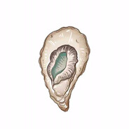 喜欢嘉祺被你发现