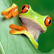 FrogsAreAmazing
