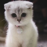 看你爹名片干嘛