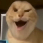 读波伏娃听傅首尔照小红书学生活组