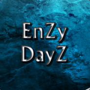 EnZy DayZ