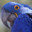 Asdf 1234 avatar