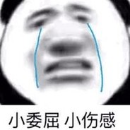 我觉得你有丶严格