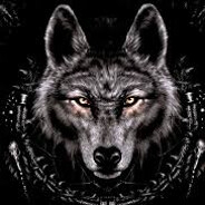 conqueR* - steam id 76561197965485861