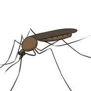 verybigmosquito