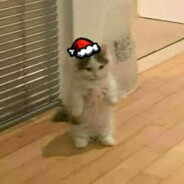 waĸтor™ avatar