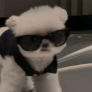 咖啡加奶不加糖