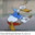 Donald Duck Boner Autism's Avatar