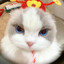ромчик)