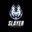 [TR] SLayer