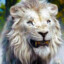 Mufasa ♛