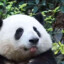 奇异恩典