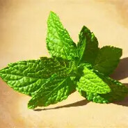 mint