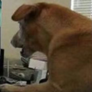 我在影城送快递