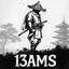 13ams