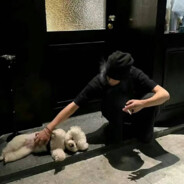 翻斗花园第一深情