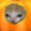 ken