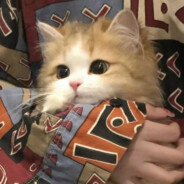 爱飞的蟑螂妹妹