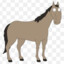 Peter the horse is here
