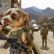 巭孬嫑夯昆勥茓