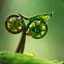 Cycle Mantis