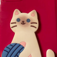 虽然没有她的电话，但我还是打给了她