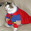Clark Fent