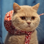 苏离半折明一媚丶