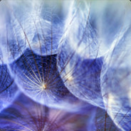 钢筋练习中有点菜9