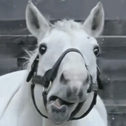 想食长崎素世肥臀