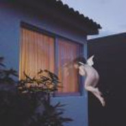 月亮不睡我不睡