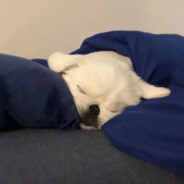 你青我钢门会上影