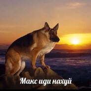 дональд трап