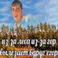 дмитровчанин