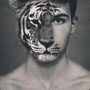 多点真诚少点套路丶