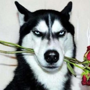 妹妹说紫色很有韵味