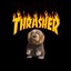 Thrasher Beaver