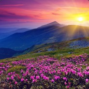 加Q 2149117819  安排姝姝