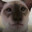 glitch