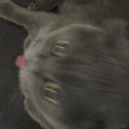 芝士汁汁培根汉堡.